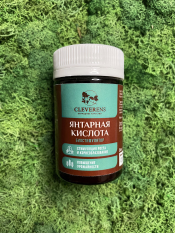Янтарная кислота
