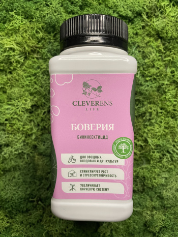 Боверия